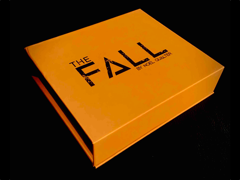 THE FALL by Noel Qualter